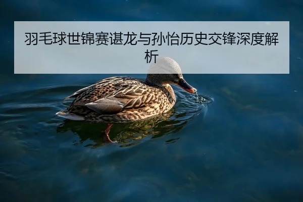 羽毛球世锦赛谌龙与孙怡历史交锋深度解析